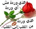 had lwarda hadiya lilek al hob dyali